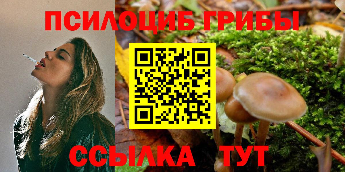 Псилоцибиновые грибы мицелий Мелеуз